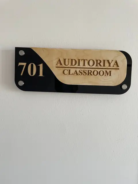 AUDITORIYA / CLASSROOM: кабинетные таблички из акрила и гравированного дерева