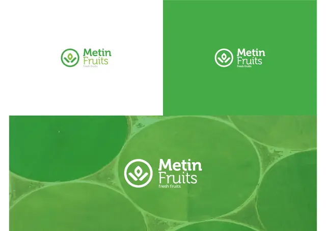 Metin Fruits: разработка логотипа и айдентика