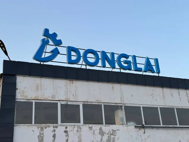 DONGLAI: крышные объёмные буквы с логотипом на промышленном здании