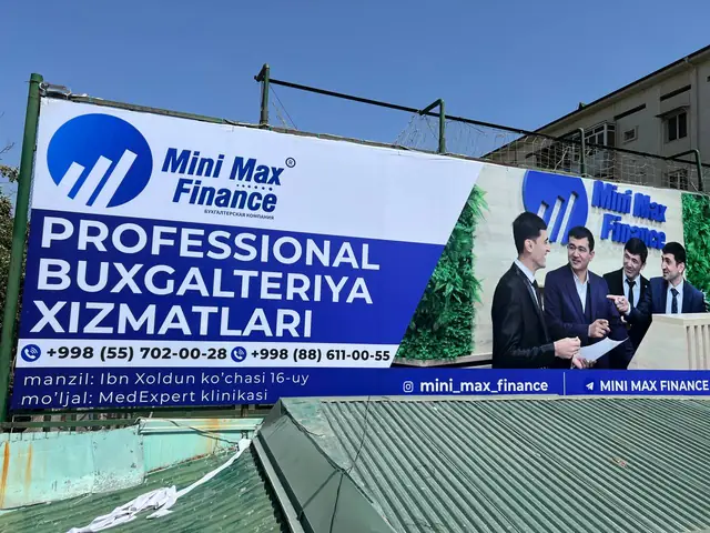Mini Max Finance: баннер на крыше: профессиональные бухгалтерские услуги