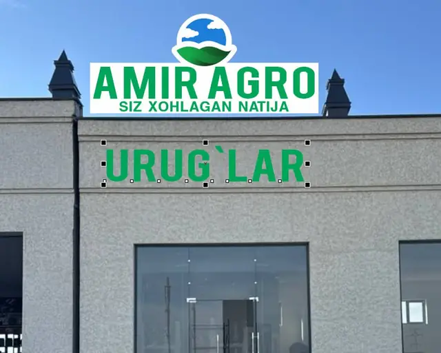 AMIR AGRO: визуализация вывески и букв URUG‘LAR на фасаде, производственный макет надписи с размерами