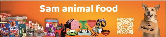 Sam animal food: макет баннера и оклейки витрины зоомагазина